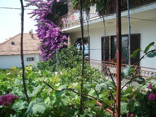 Apartment Knez Trogir Kültér fotó